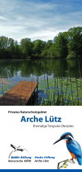 Flyer_Arche Lütz_201120173.jpg